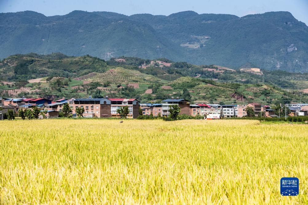 澳门新葡游戏网